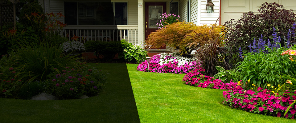 Norwich Landscapers